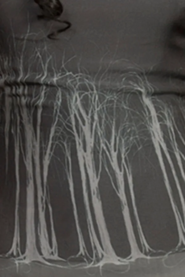 Égérie double Silk Skirt/Top
