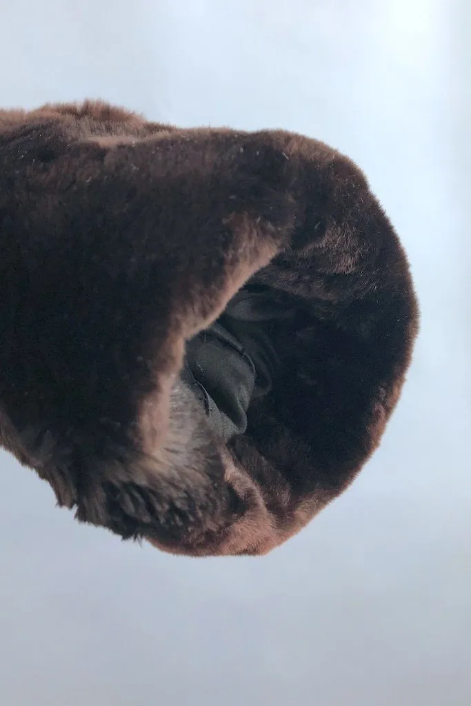 Vintage Dark Brown River Mink Fur Coat
